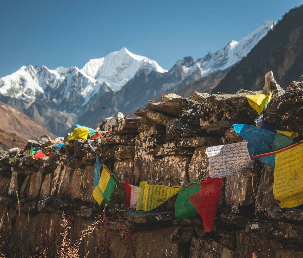 LangTang_prints_web-28