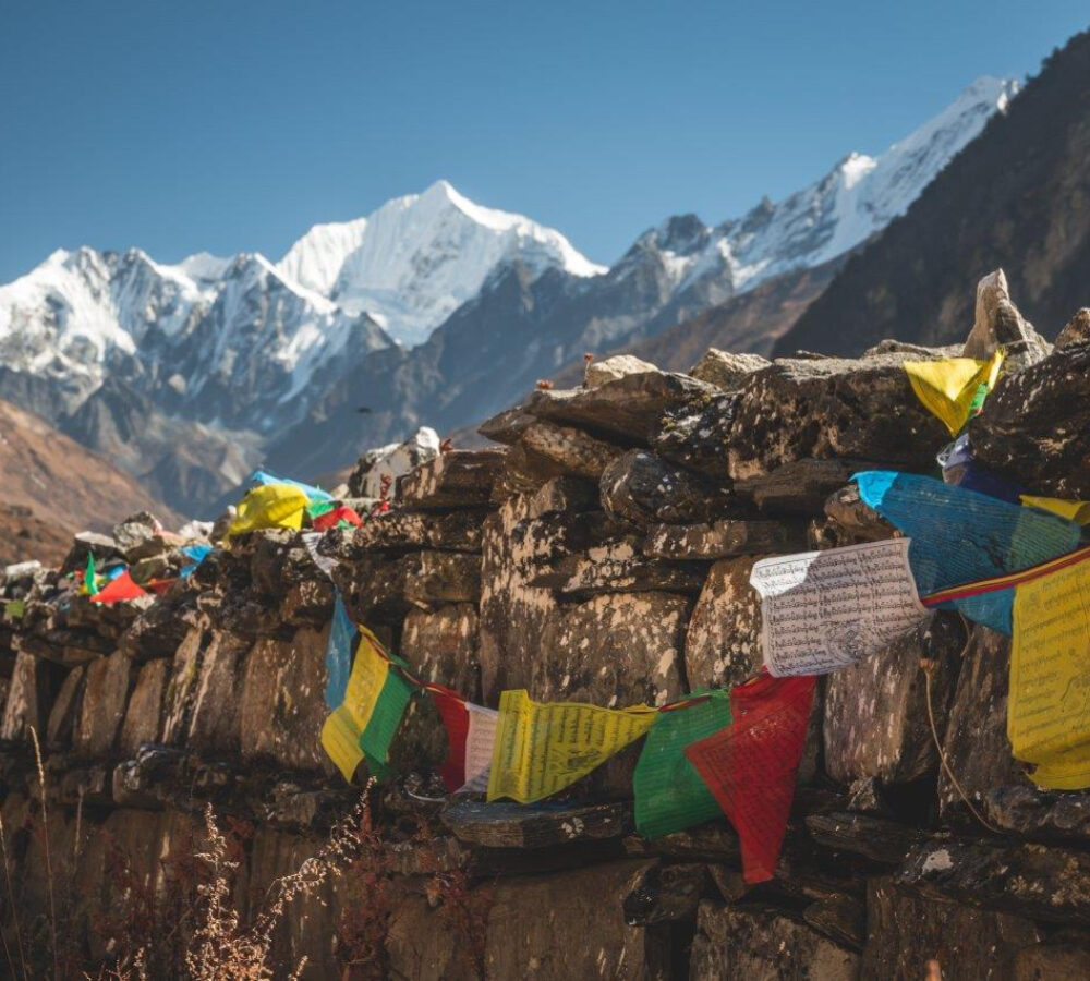 LangTang_prints_web-28_by Jonathan (not sure)